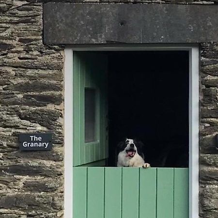 Dog Friendly Cottage, Geufron Farm Near Tywyn Bryn-crug Eksteriør bilde