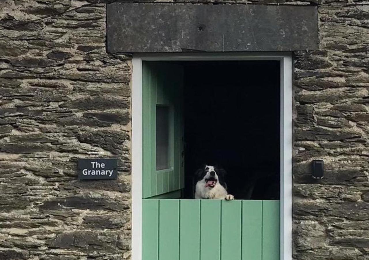 Dog Friendly Cottage, Geufron Farm Near Tywyn Bryn-crug Eksteriør bilde
