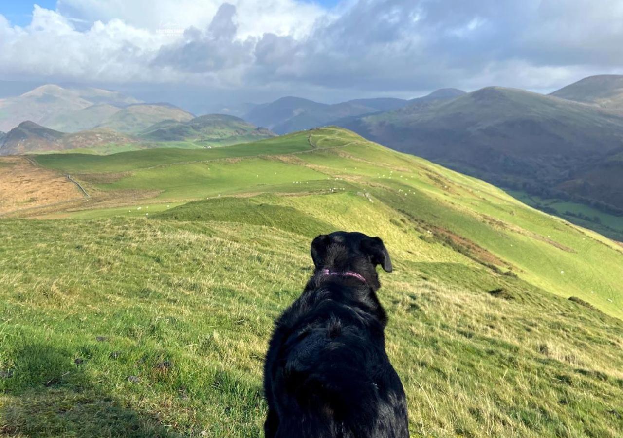 Dog Friendly Cottage, Geufron Farm Near Tywyn Bryn-crug Eksteriør bilde