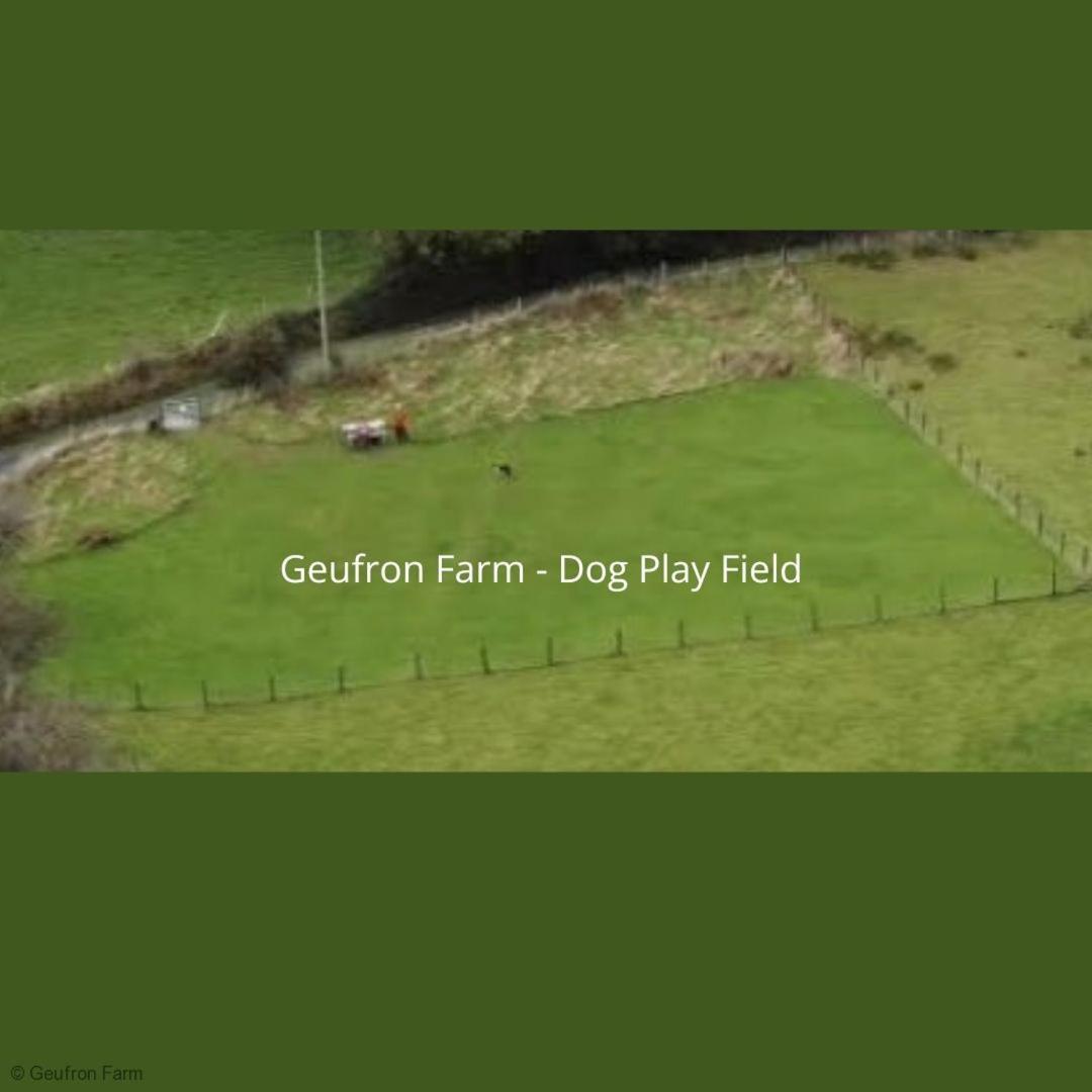 Dog Friendly Cottage, Geufron Farm Near Tywyn Bryn-crug Eksteriør bilde