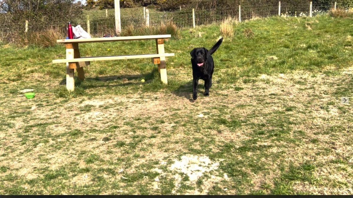 Dog Friendly Cottage, Geufron Farm Near Tywyn Bryn-crug Eksteriør bilde